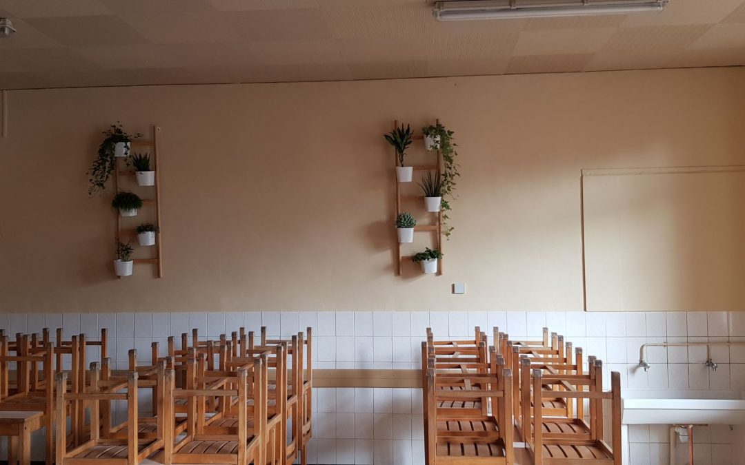 Réfection de la cantine